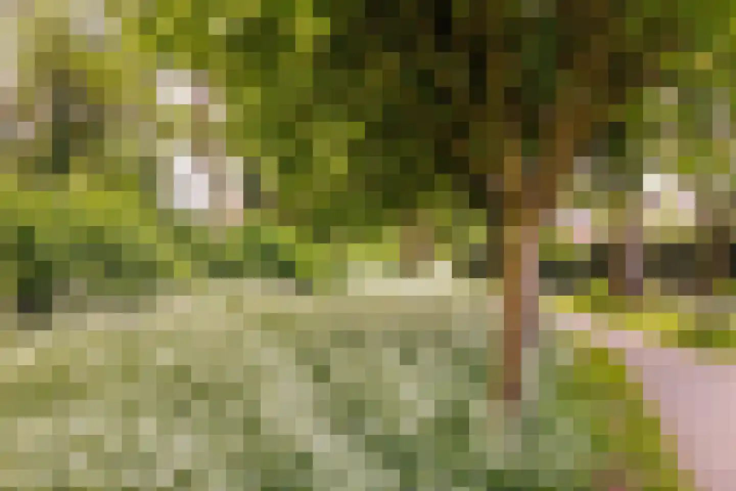 Nieuwe Pyramide 27 Wijk bij Duurstede thumbnail 61