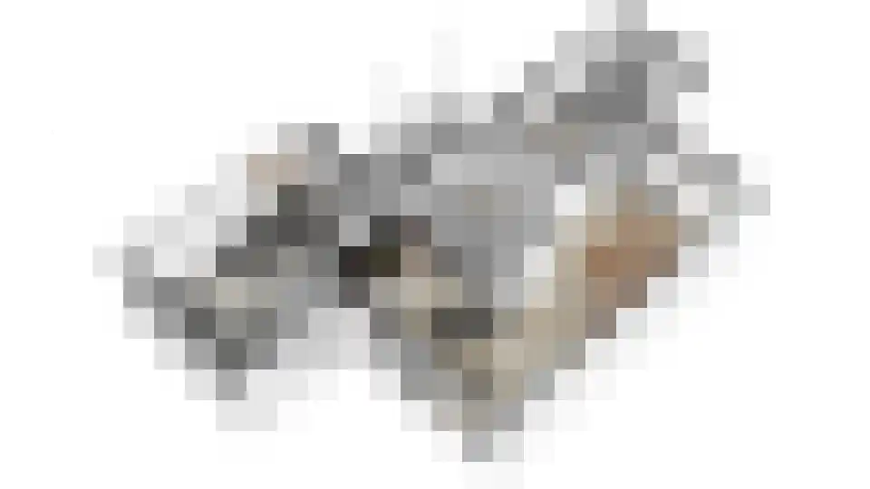Nieuwe Pyramide 27 Wijk bij Duurstede thumbnail 64