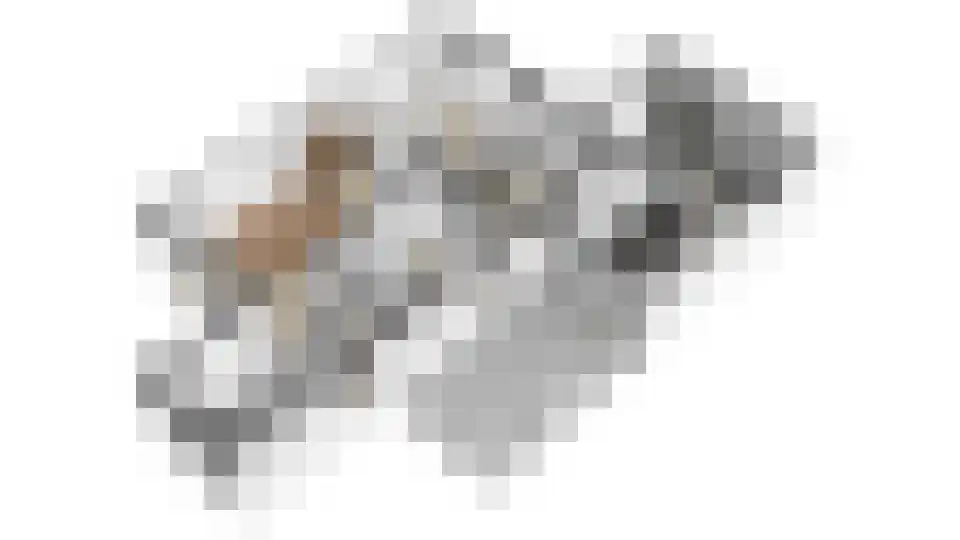 Nieuwe Pyramide 27 Wijk bij Duurstede thumbnail 65