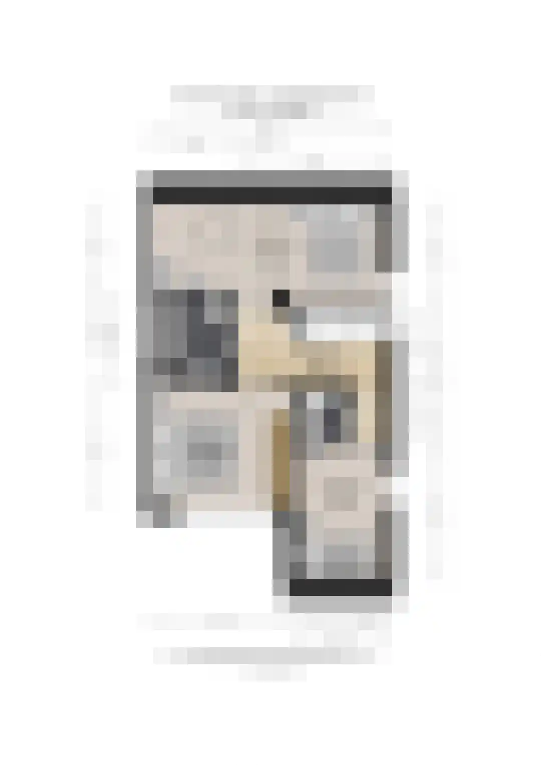 Nieuwe Pyramide 27 Wijk bij Duurstede thumbnail 66