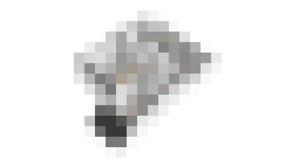 Nieuwe Pyramide 27 Wijk bij Duurstede thumbnail 68