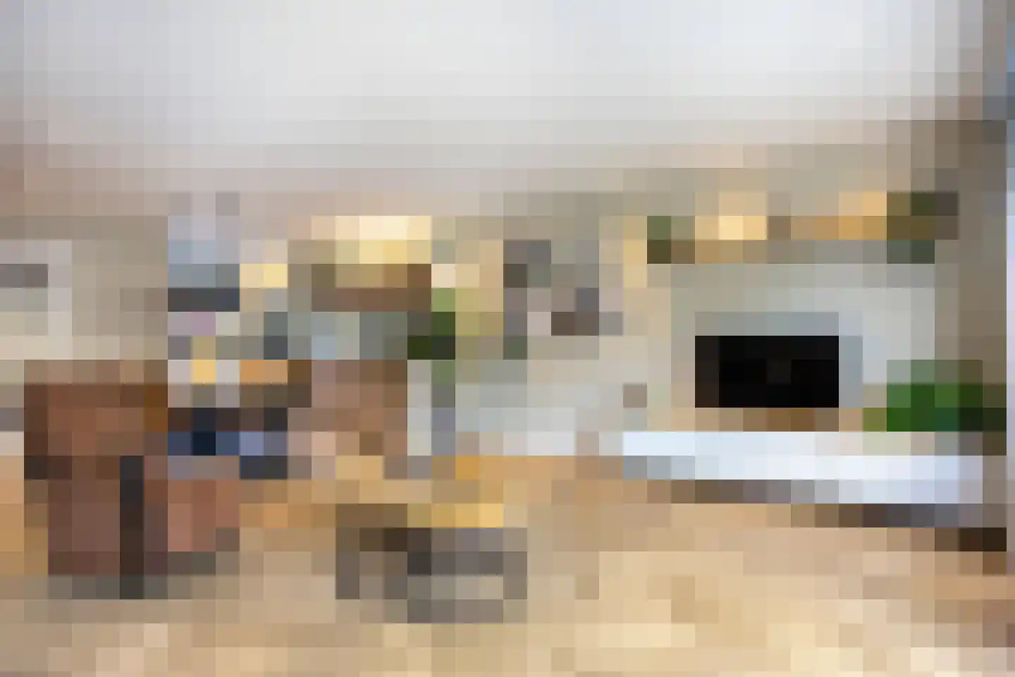Nieuwe Pyramide 52 Wijk bij Duurstede thumbnail 12