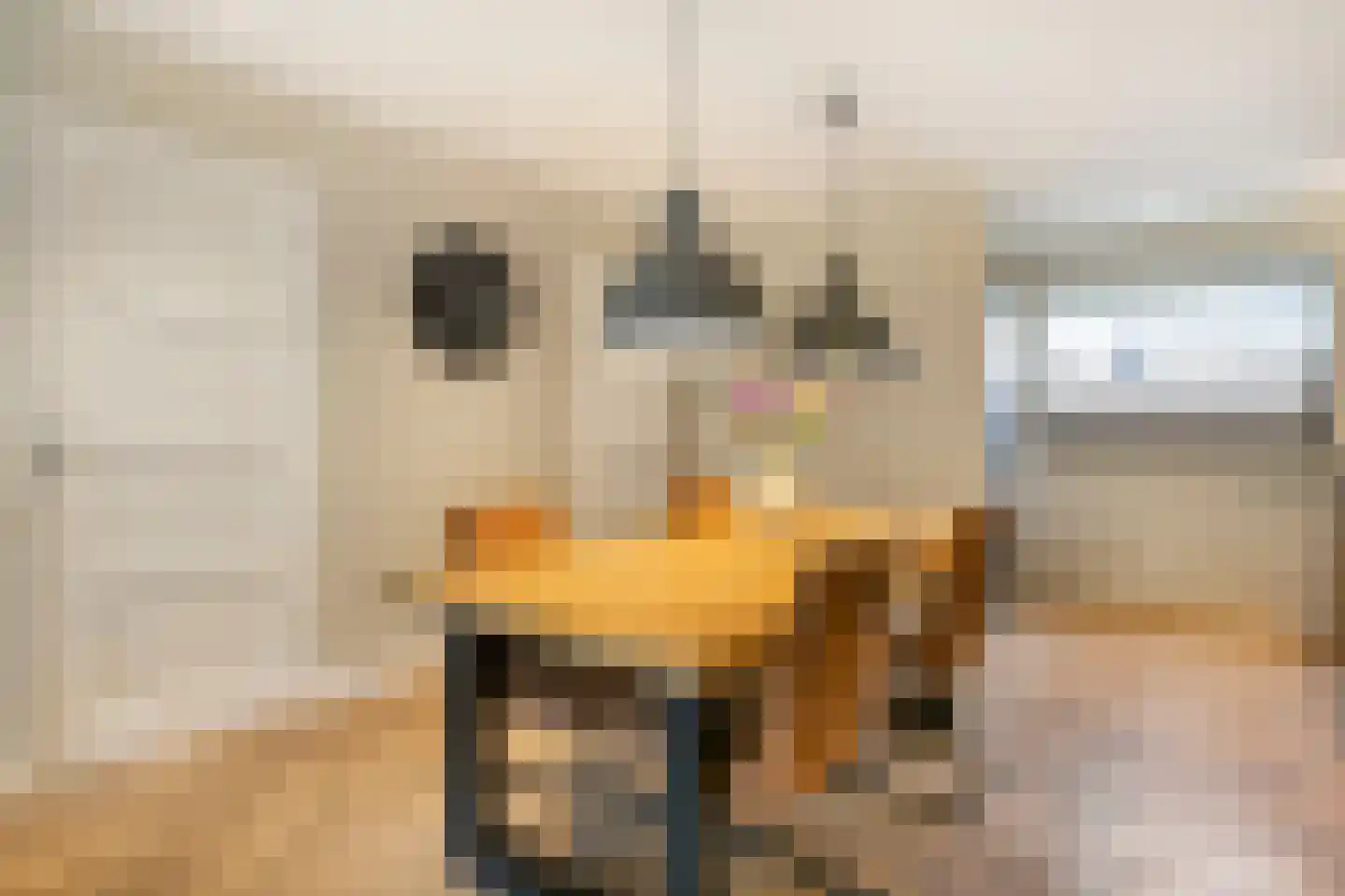 Nieuwe Pyramide 52 Wijk bij Duurstede thumbnail 14