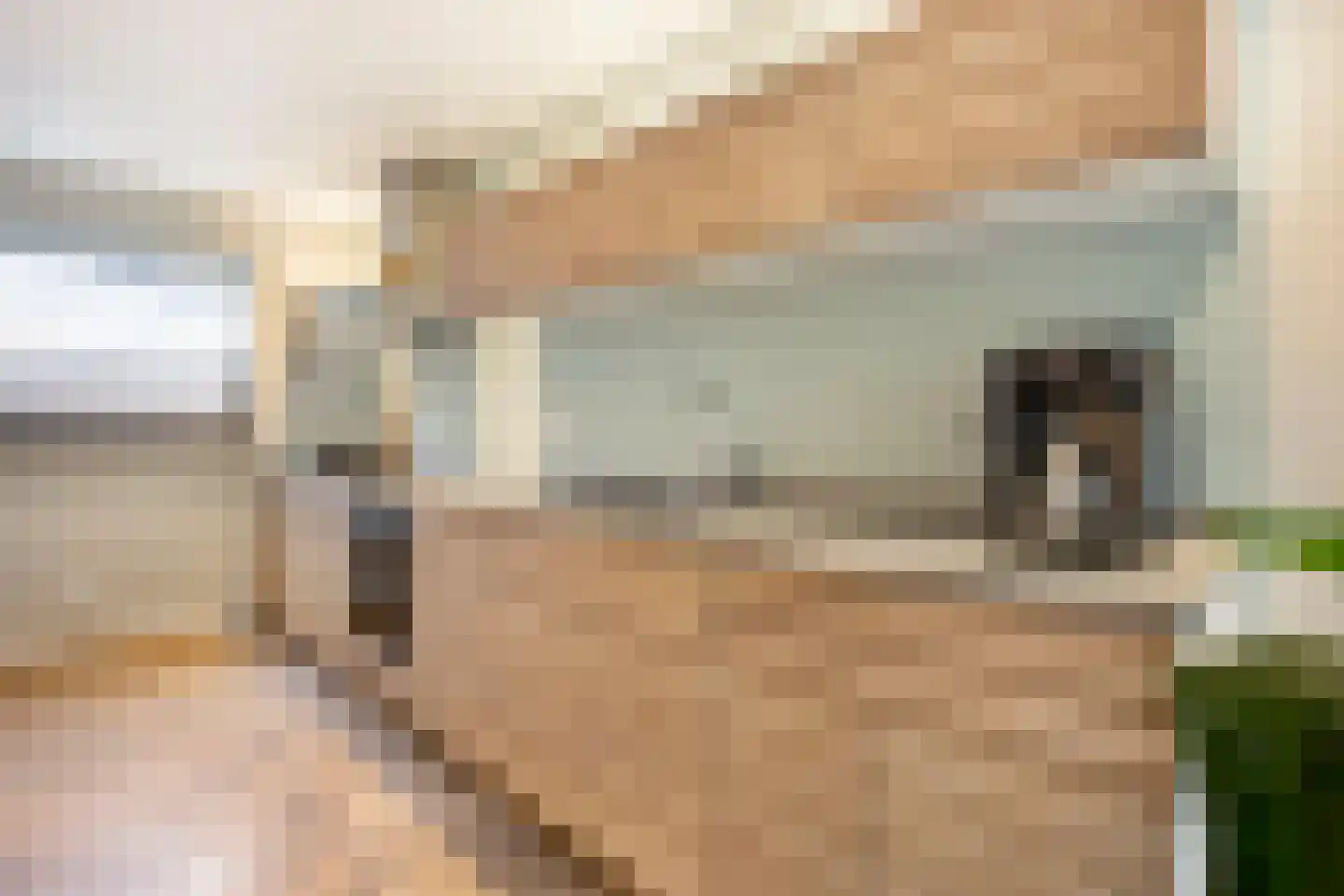 Nieuwe Pyramide 52 Wijk bij Duurstede thumbnail 19