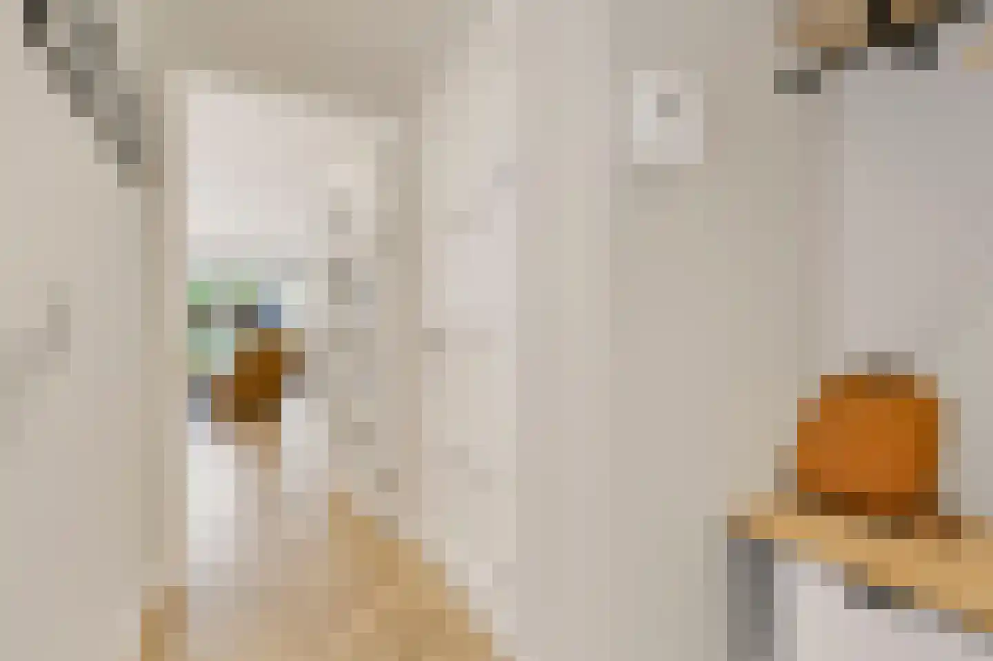 Nieuwe Pyramide 52 Wijk bij Duurstede thumbnail 25