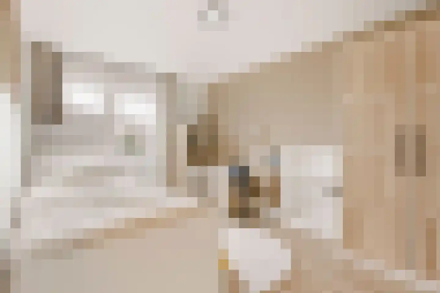 Nieuwe Pyramide 52 Wijk bij Duurstede thumbnail 26