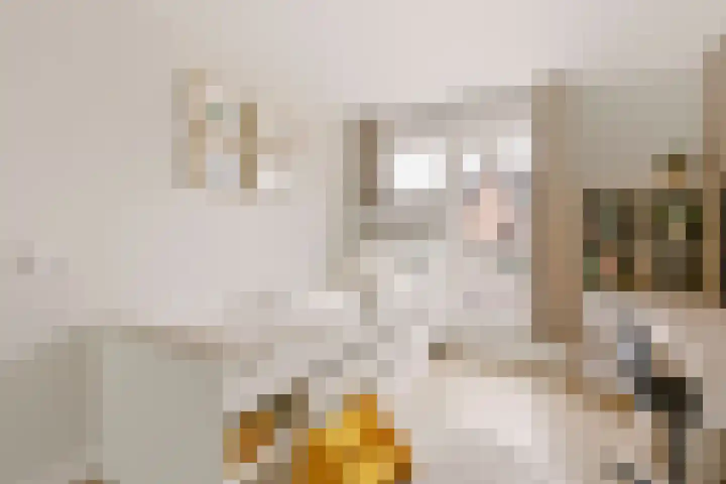 Nieuwe Pyramide 52 Wijk bij Duurstede thumbnail 27