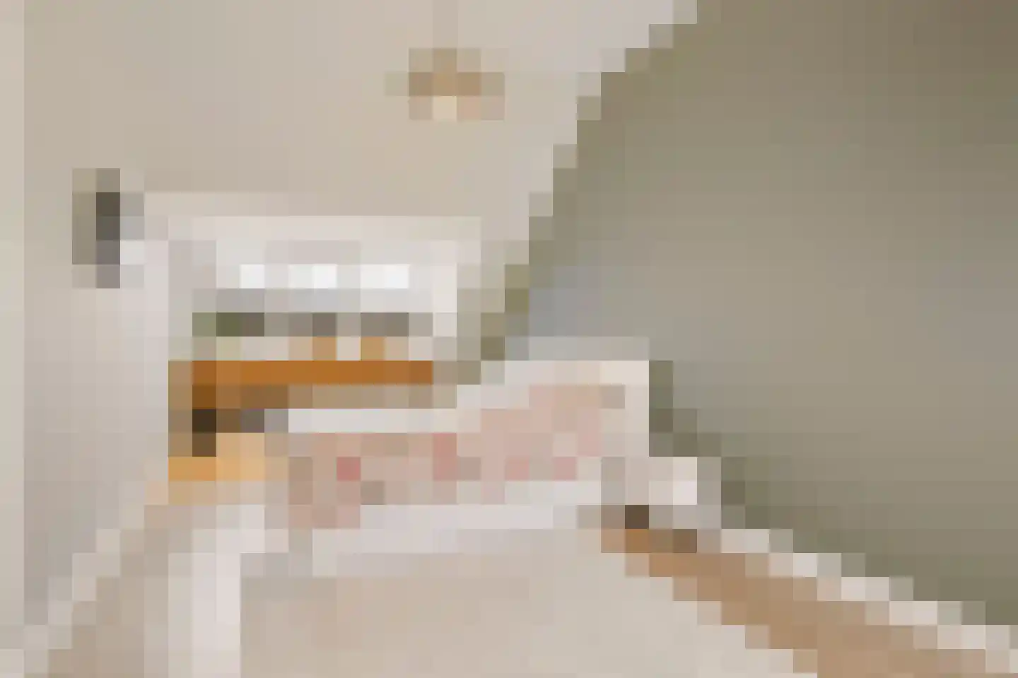 Nieuwe Pyramide 52 Wijk bij Duurstede thumbnail 36