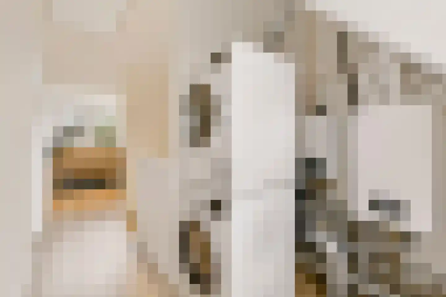 Nieuwe Pyramide 52 Wijk bij Duurstede thumbnail 40