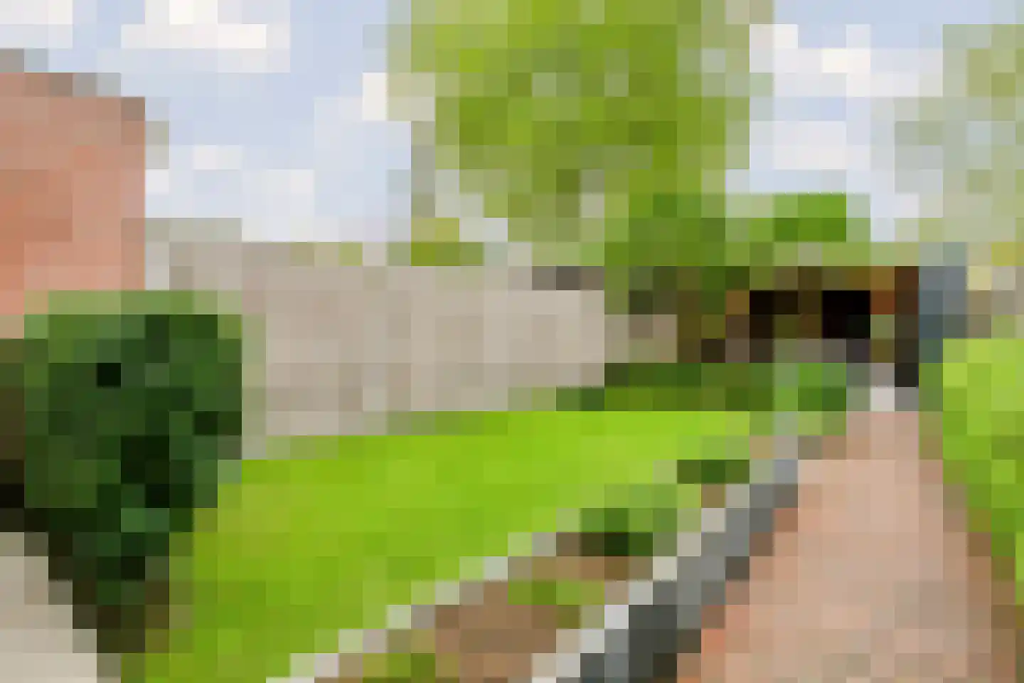 Nieuwe Pyramide 52 Wijk bij Duurstede thumbnail 42