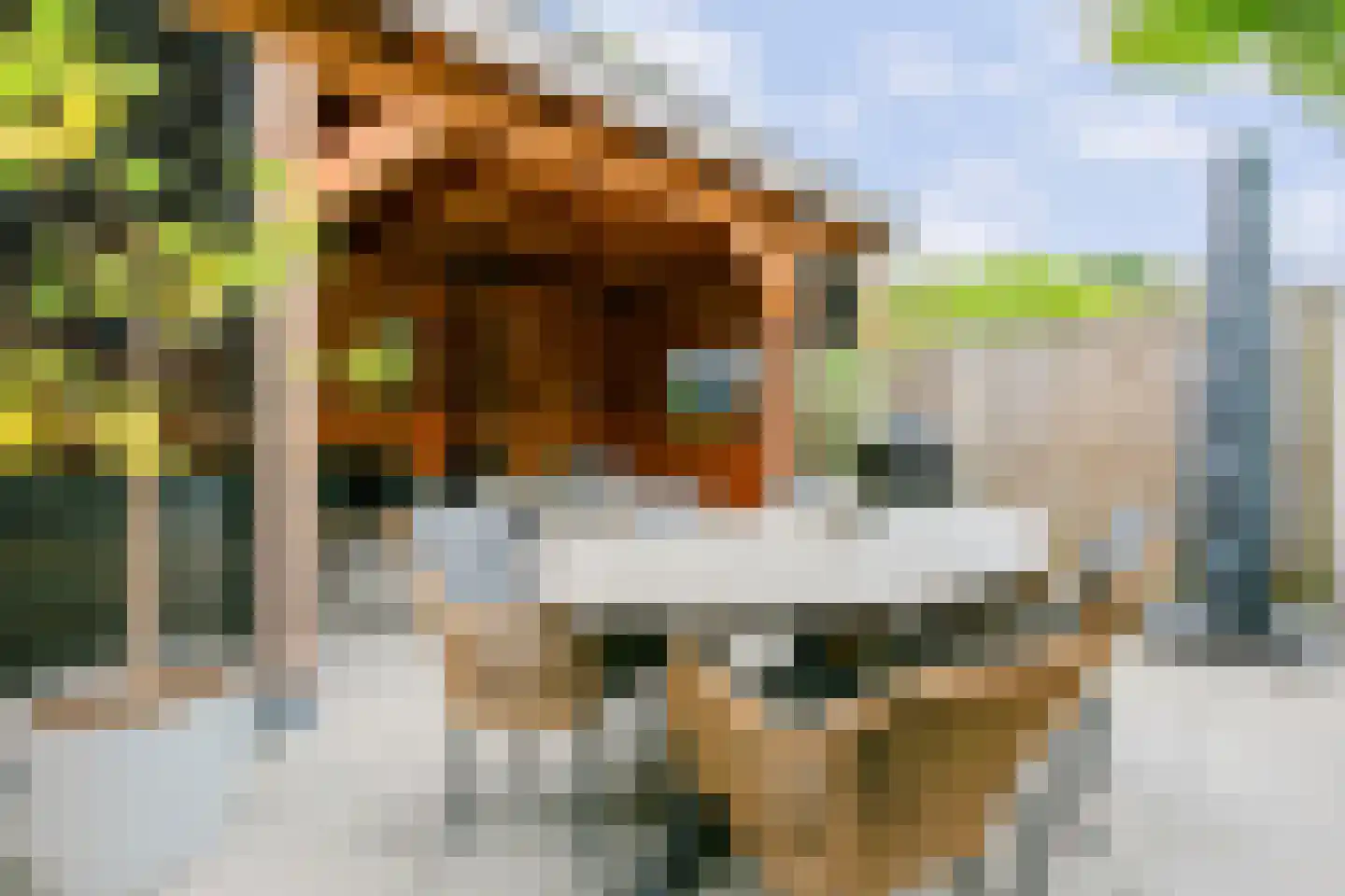 Nieuwe Pyramide 52 Wijk bij Duurstede thumbnail 45