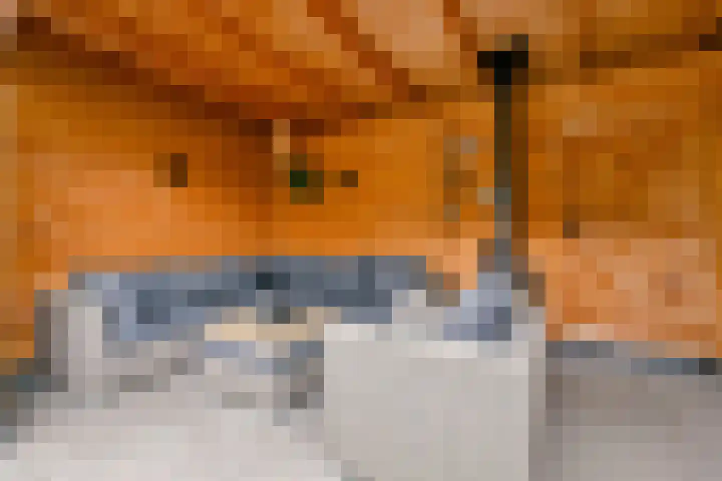 Nieuwe Pyramide 52 Wijk bij Duurstede thumbnail 46