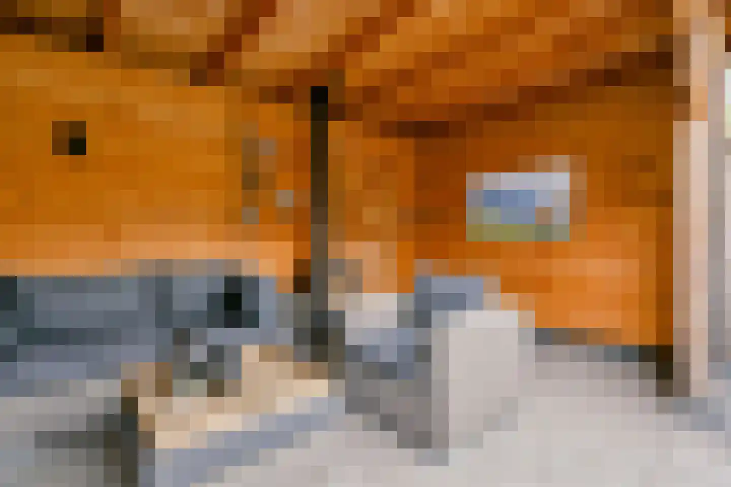 Nieuwe Pyramide 52 Wijk bij Duurstede thumbnail 47