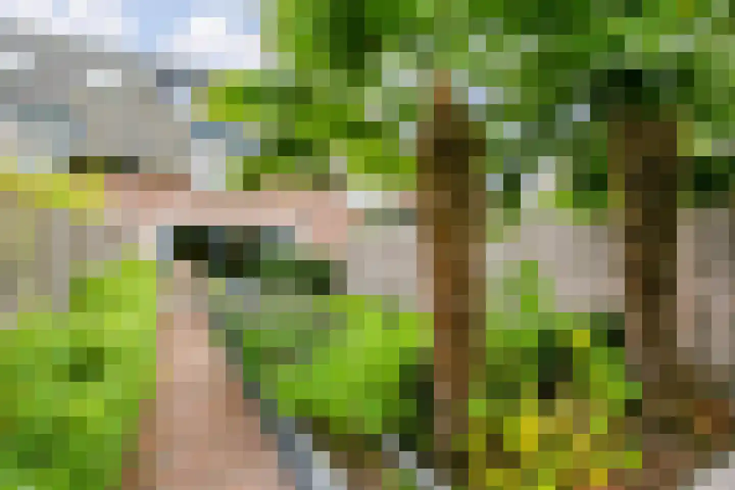 Nieuwe Pyramide 52 Wijk bij Duurstede thumbnail 50