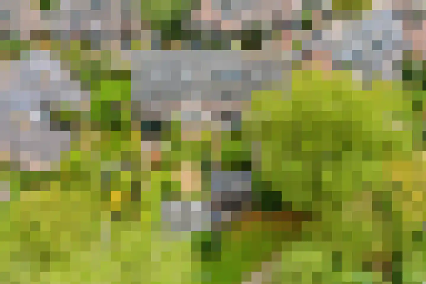 Nieuwe Pyramide 52 Wijk bij Duurstede thumbnail 60