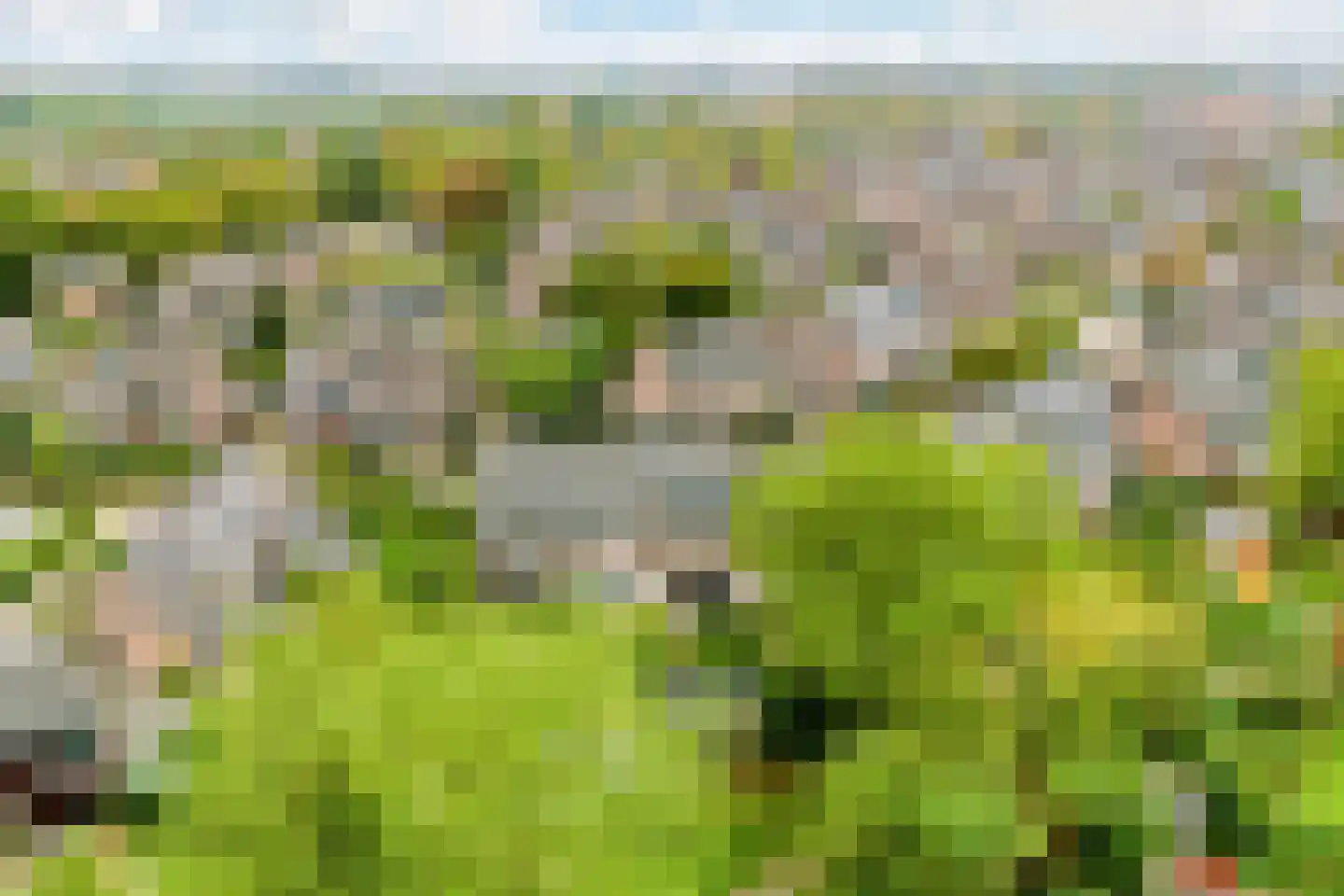 Nieuwe Pyramide 52 Wijk bij Duurstede thumbnail 61