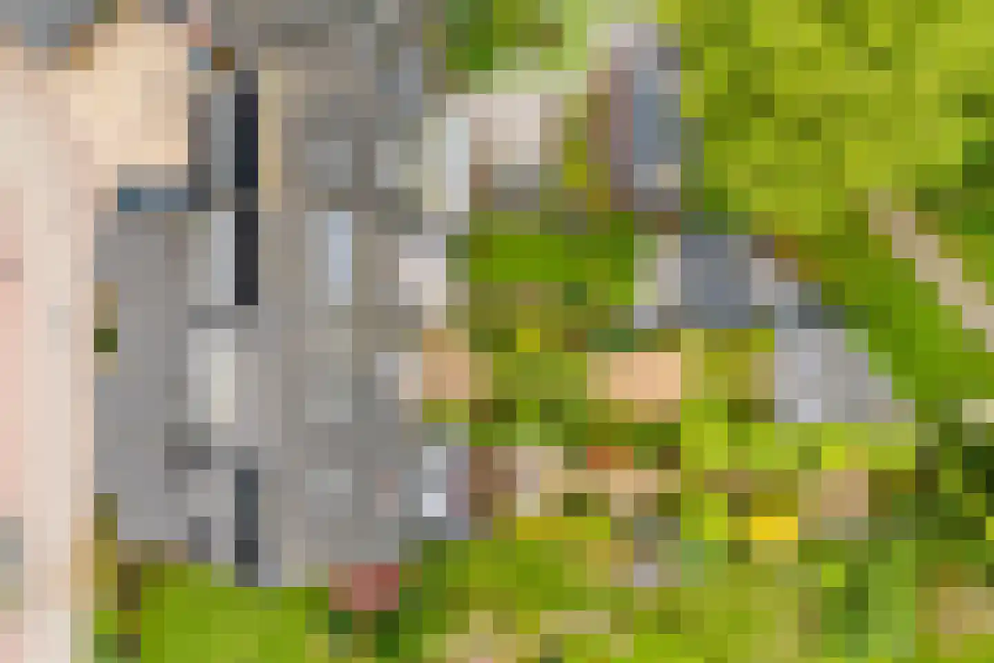 Nieuwe Pyramide 52 Wijk bij Duurstede thumbnail 62