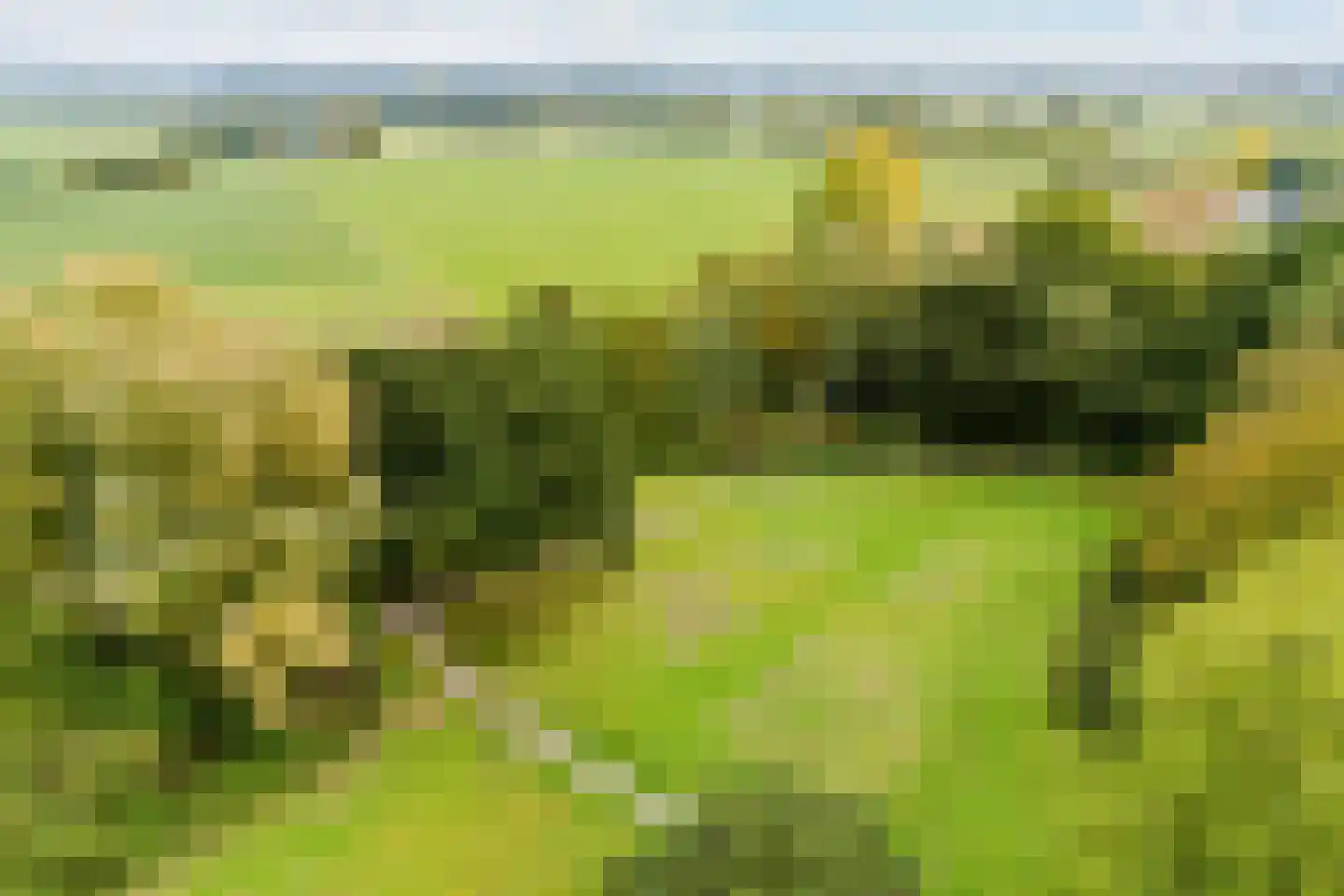 Nieuwe Pyramide 52 Wijk bij Duurstede thumbnail 65