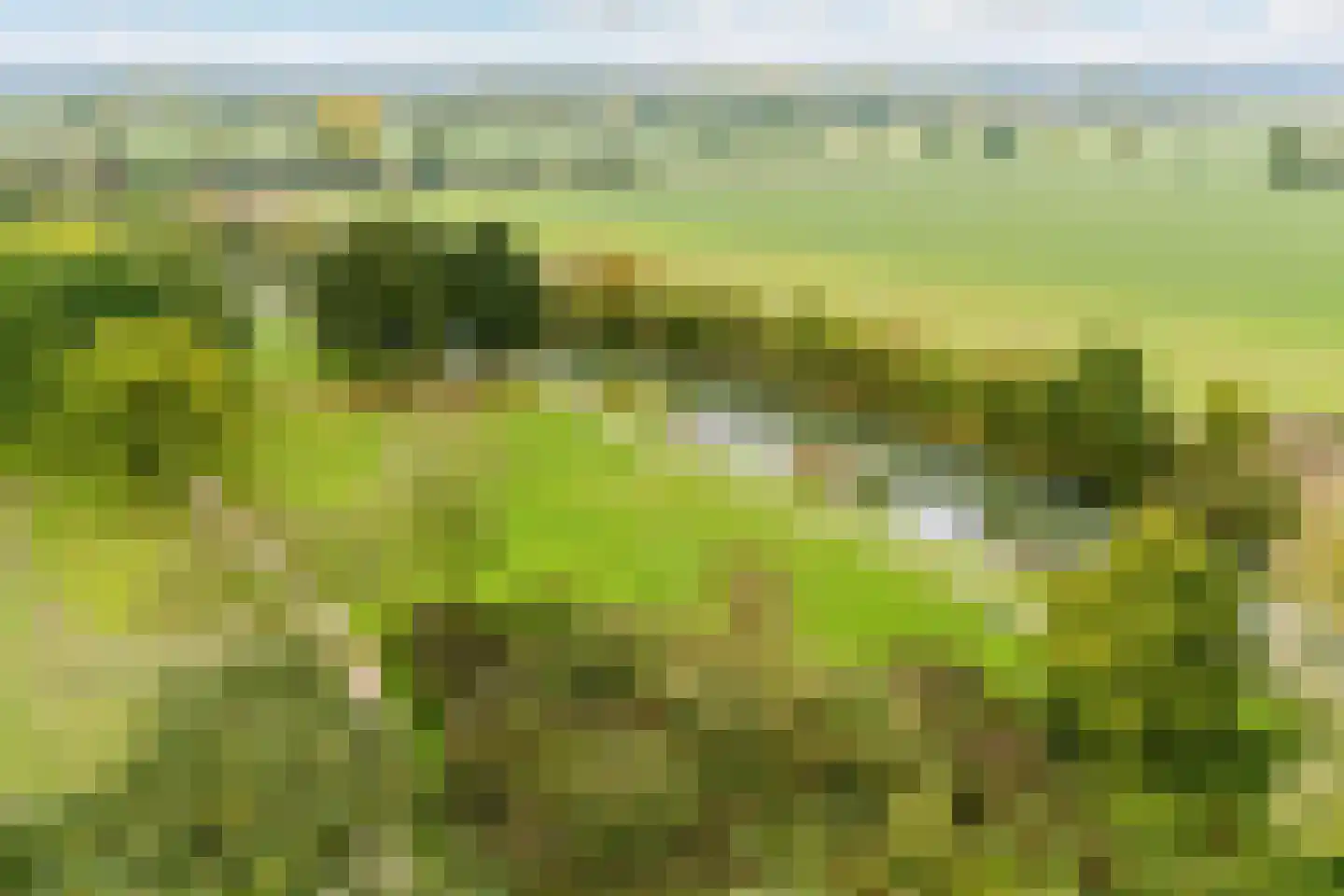 Nieuwe Pyramide 52 Wijk bij Duurstede thumbnail 66