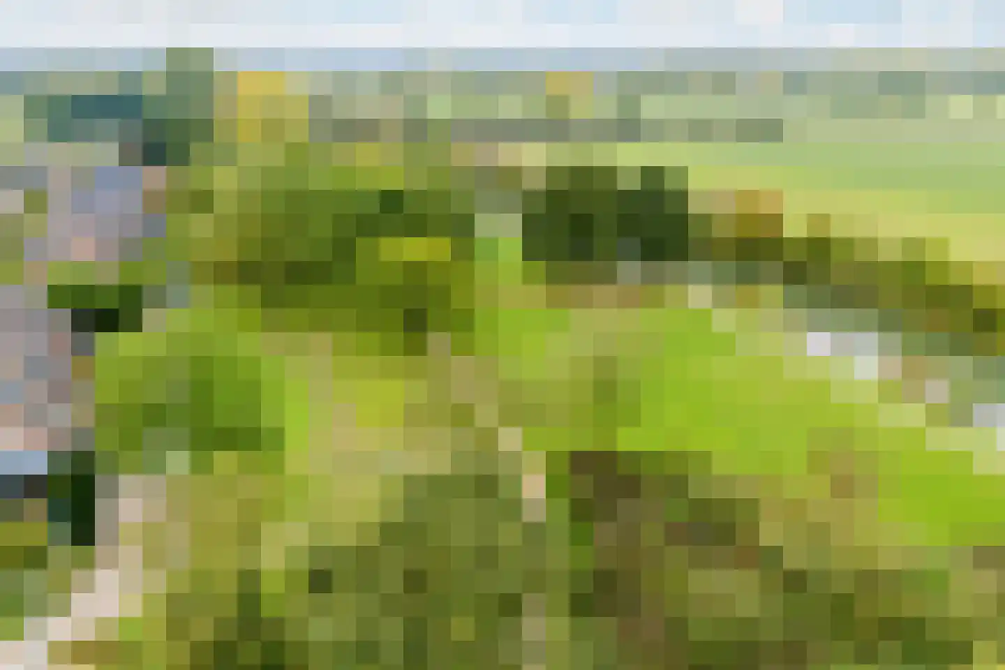 Nieuwe Pyramide 52 Wijk bij Duurstede thumbnail 67