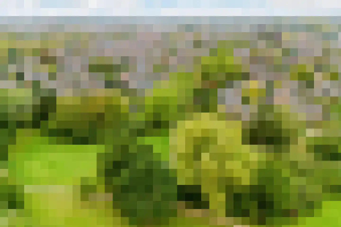 Nieuwe Pyramide 52 Wijk bij Duurstede thumbnail 68