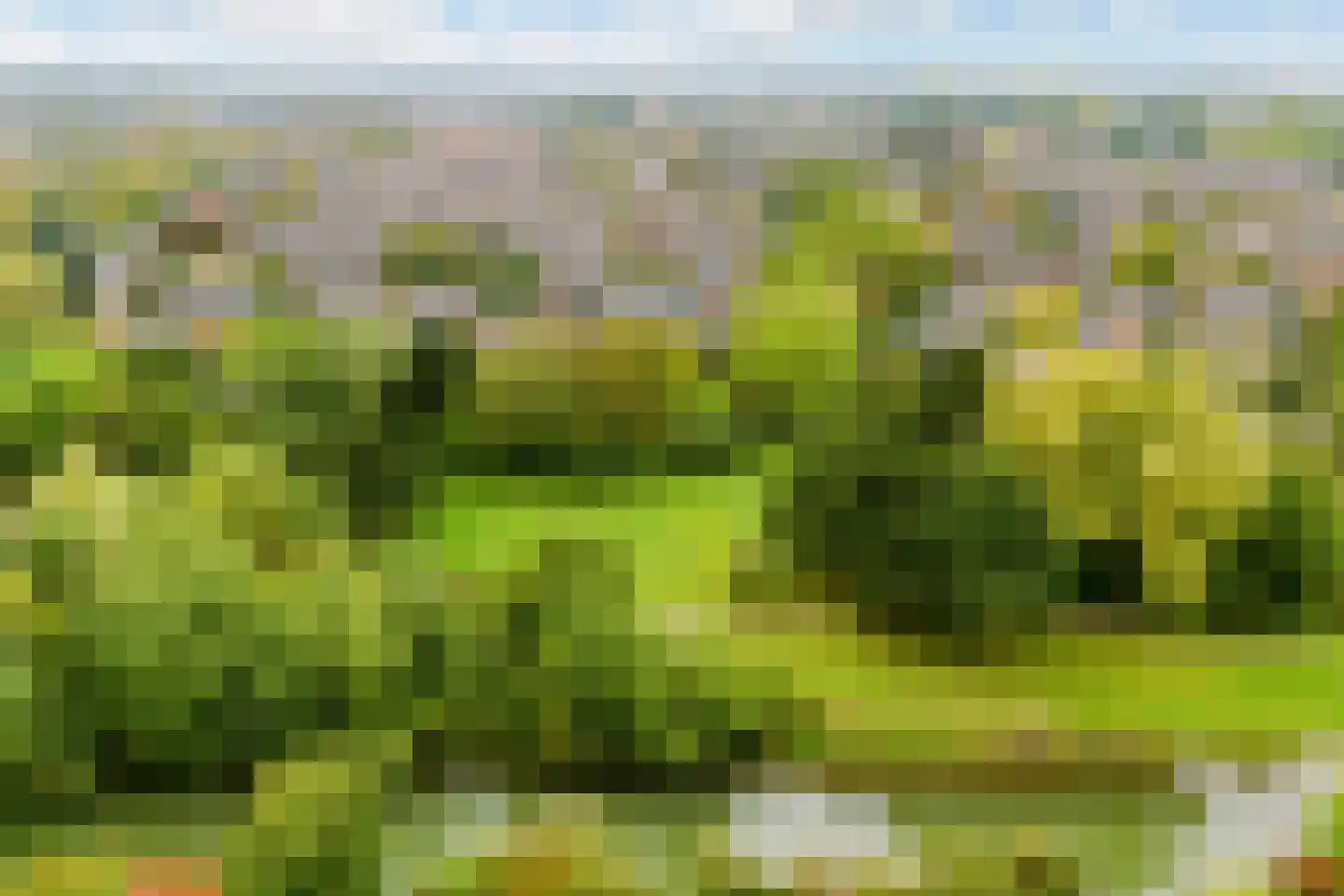 Nieuwe Pyramide 52 Wijk bij Duurstede thumbnail 69