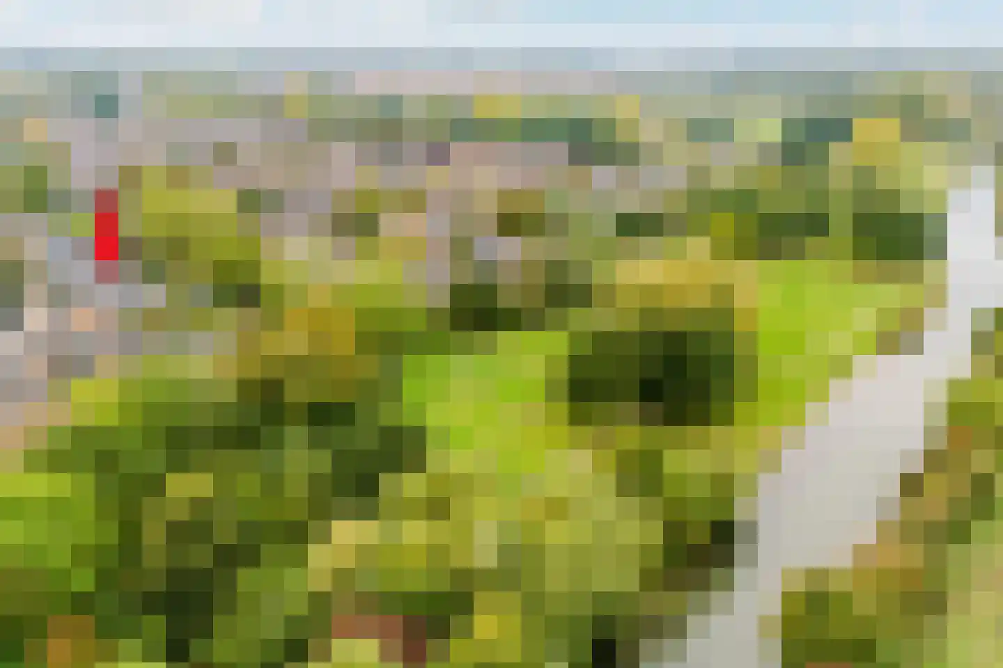 Nieuwe Pyramide 52 Wijk bij Duurstede thumbnail 7