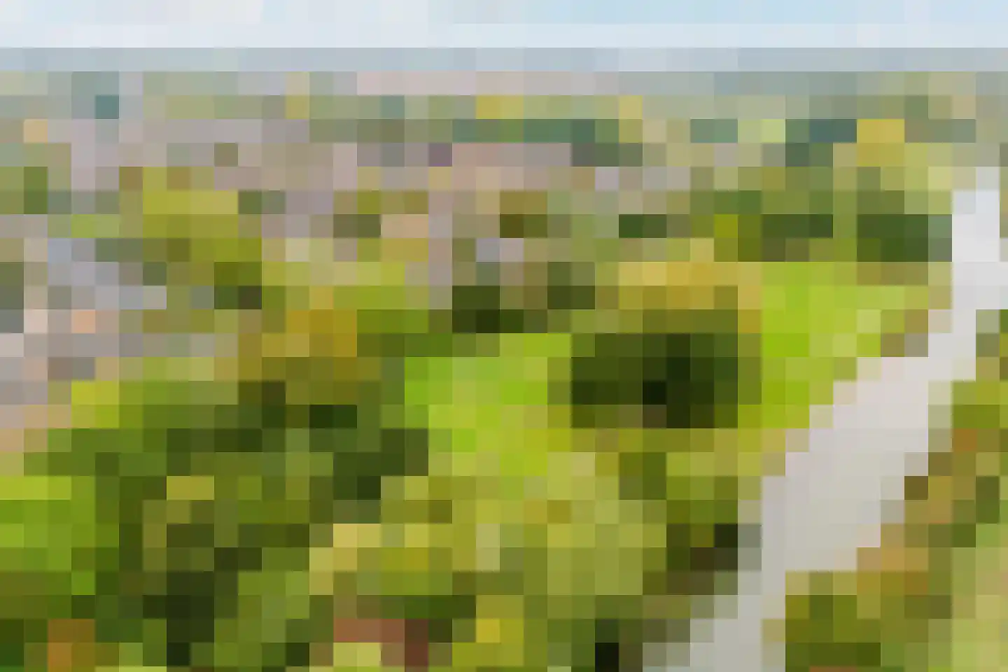 Nieuwe Pyramide 52 Wijk bij Duurstede thumbnail 70