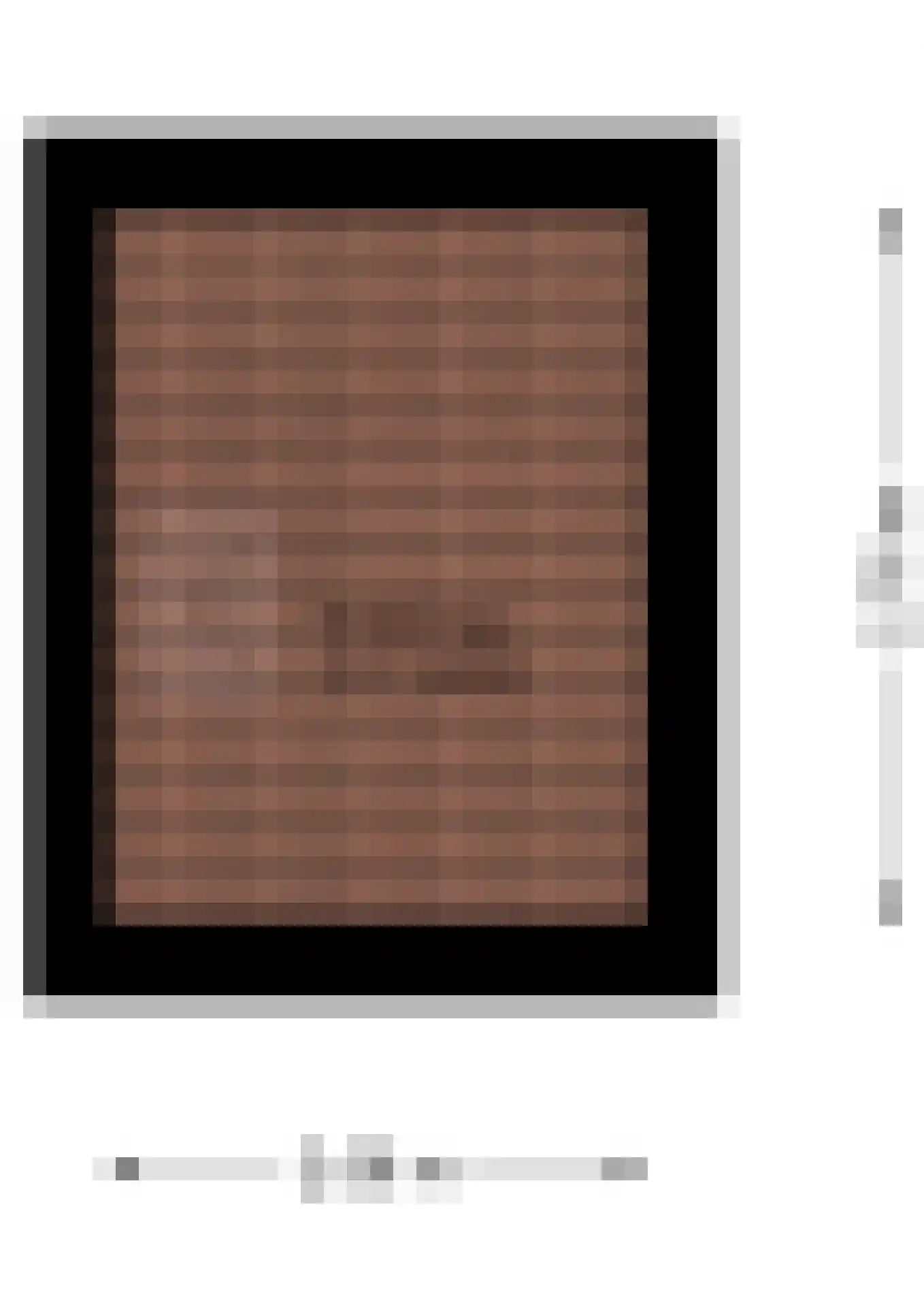Nieuwe Pyramide 52 Wijk bij Duurstede thumbnail 76