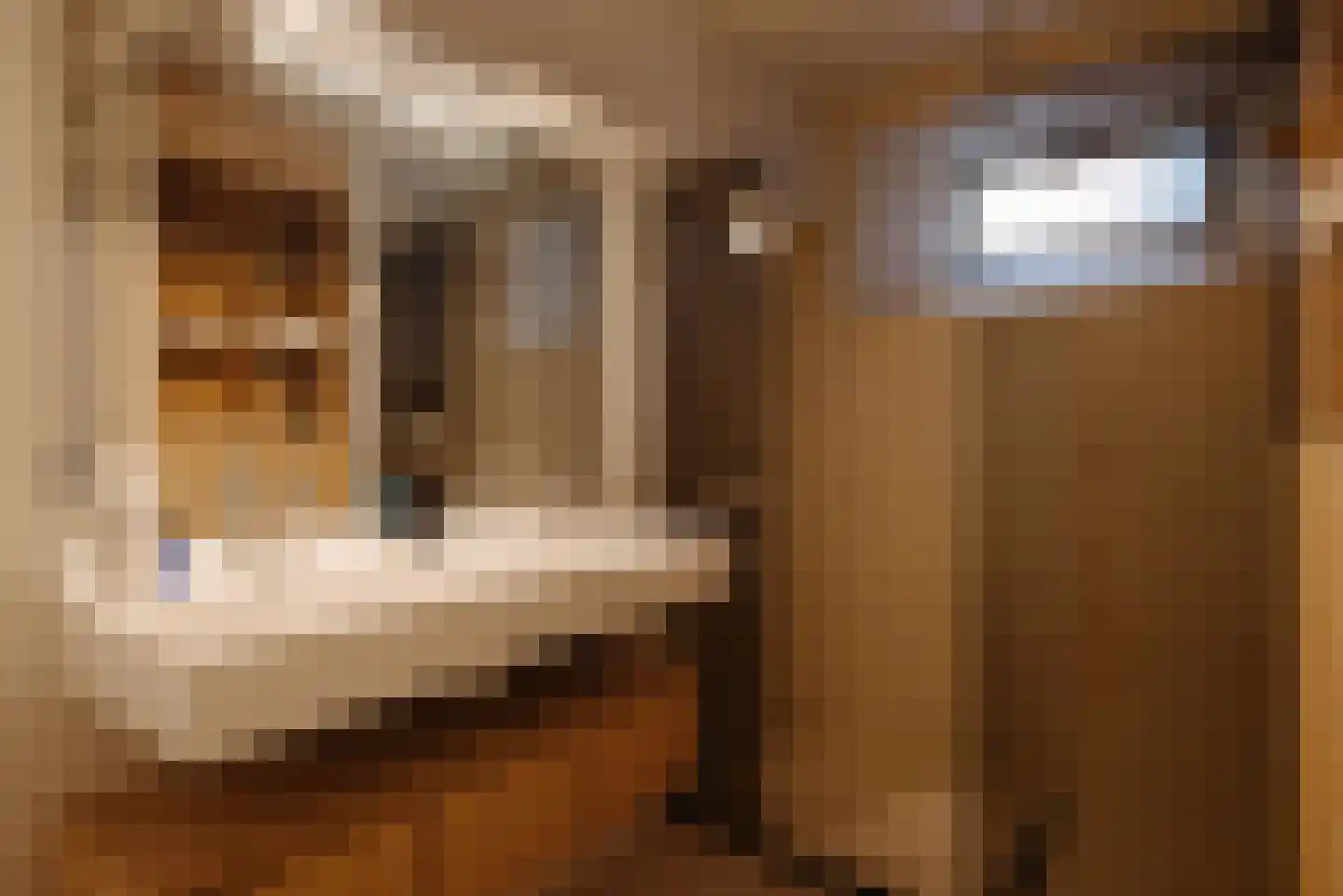 Nieuwe Ridderstraat 57 Amsterdam thumbnail 21