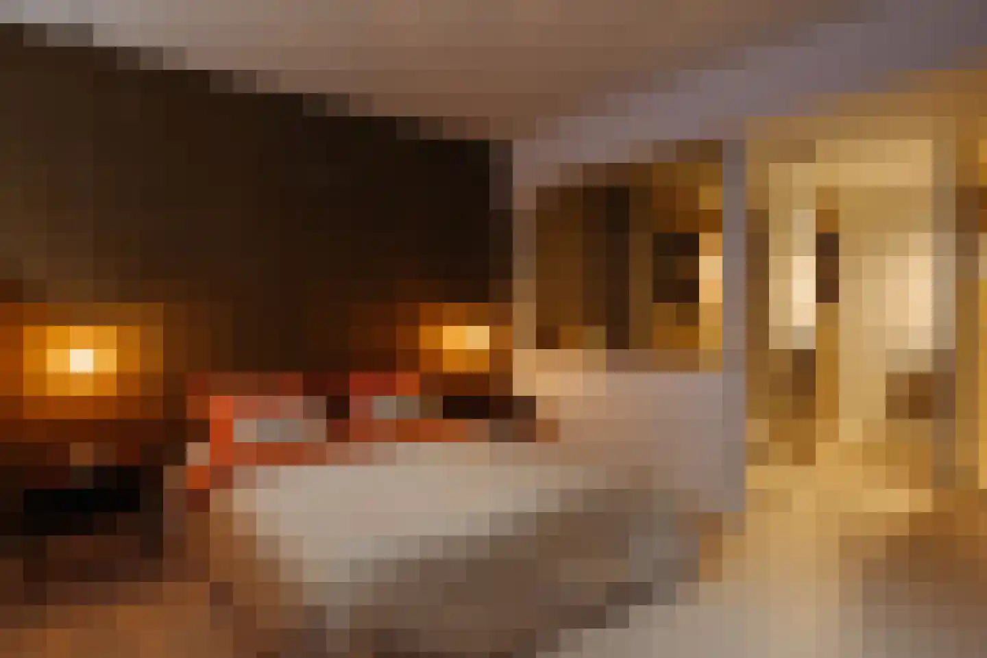 Nieuwe Ridderstraat 57 Amsterdam thumbnail 26