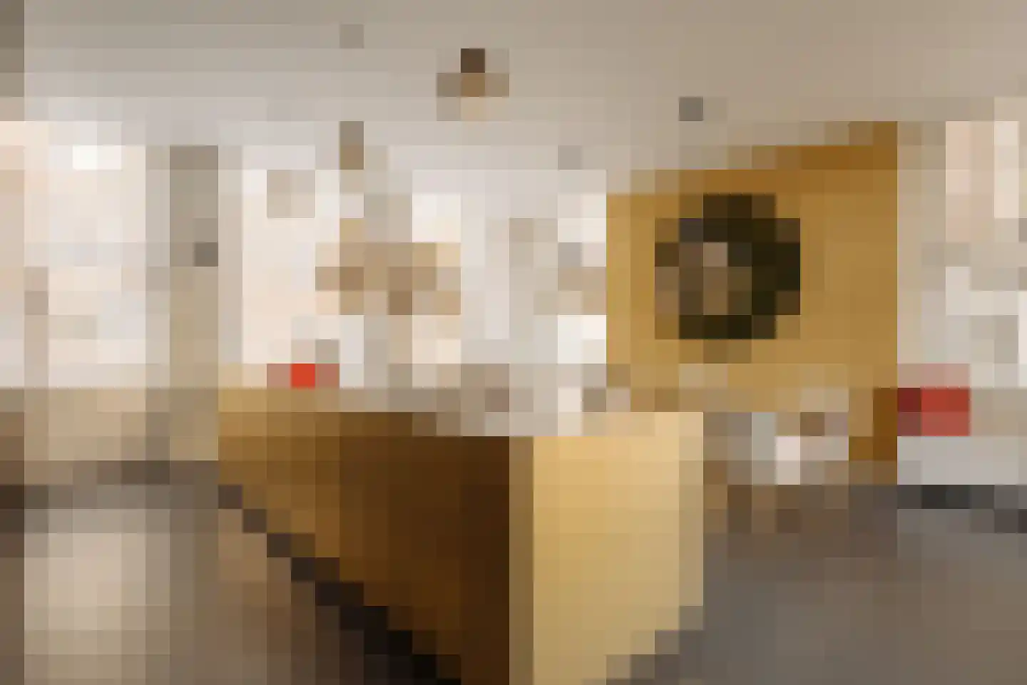 Nieuwe Ridderstraat 57 Amsterdam thumbnail 8