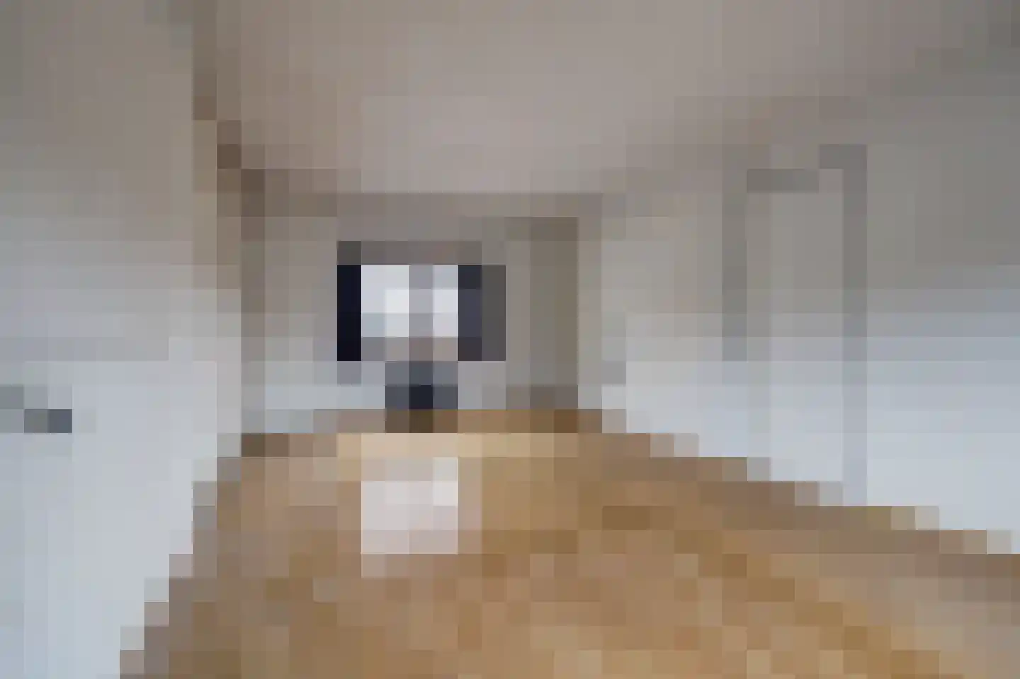 Nieuwe Rielseweg 13 Goirle thumbnail 16
