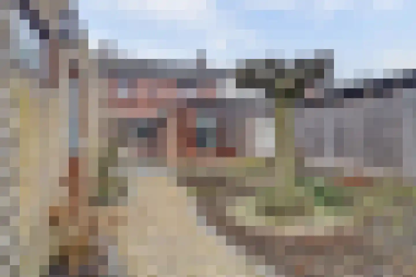 Nieuwe Rielseweg 13 Goirle thumbnail 23