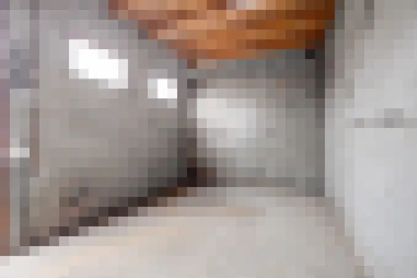 Nieuwe Rielseweg 13 Goirle thumbnail 24