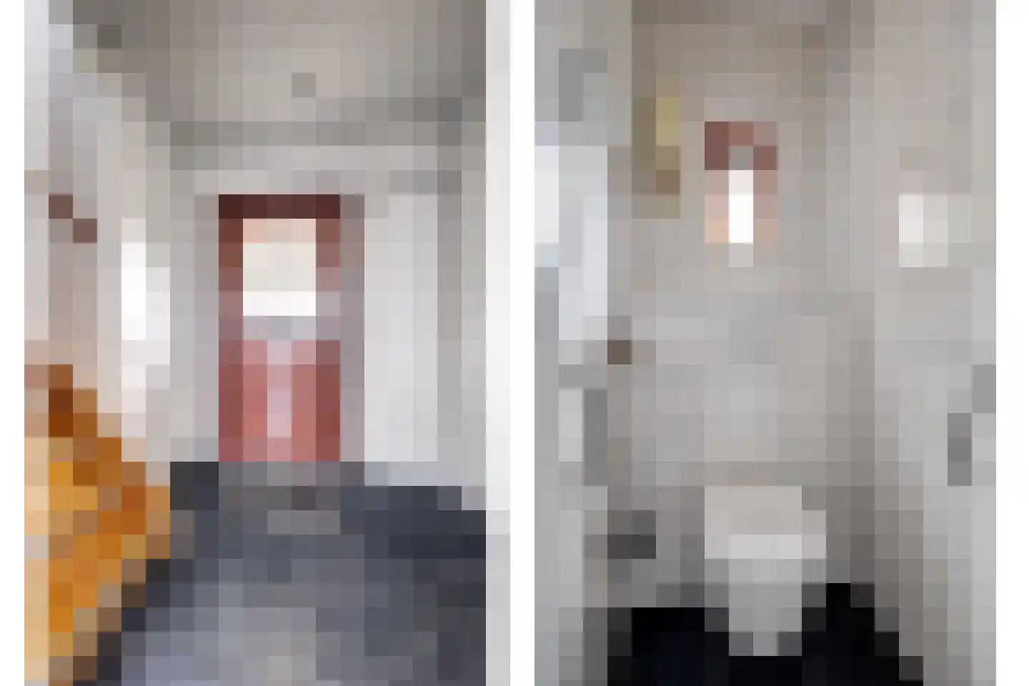 Nieuwe Rielseweg 13 Goirle thumbnail 4