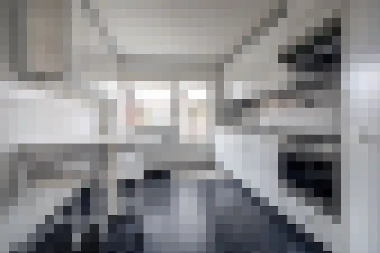 Nieuwe Rielseweg 13 Goirle thumbnail 5