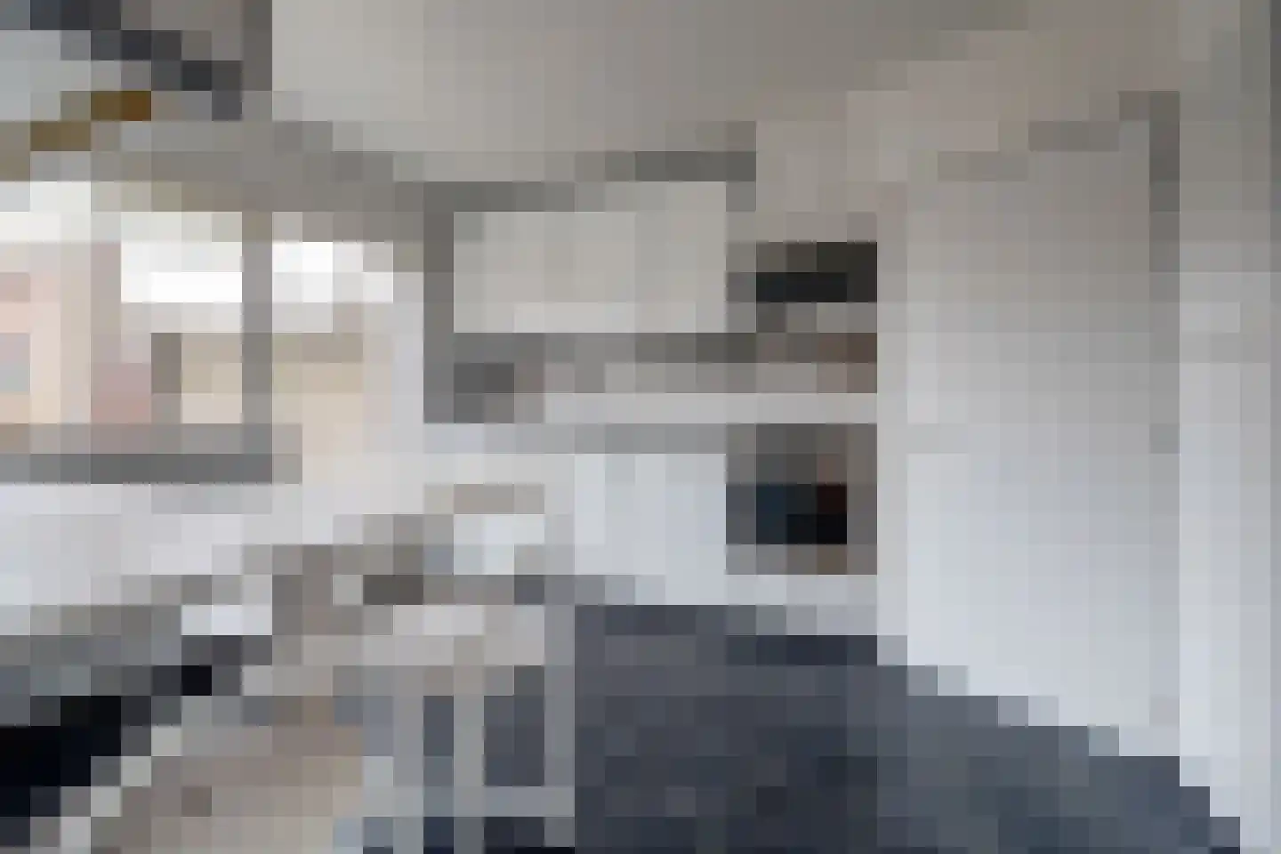 Nieuwe Rielseweg 13 Goirle thumbnail 6
