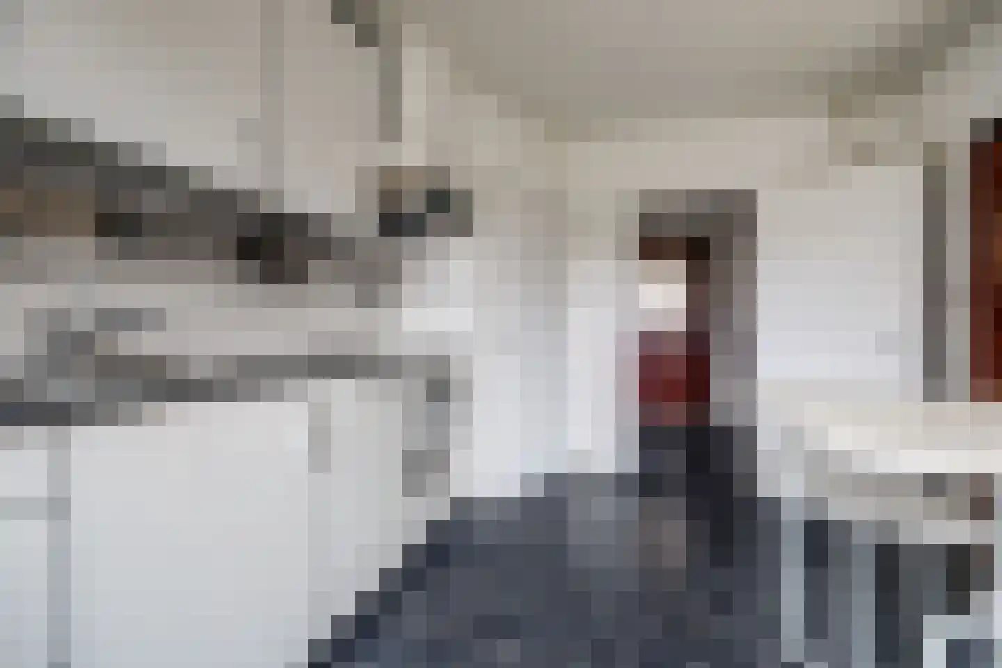 Nieuwe Rielseweg 13 Goirle thumbnail 7
