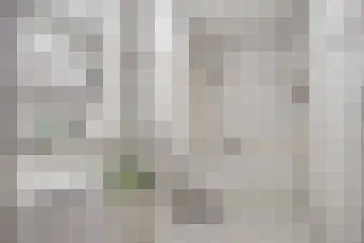 Nieuwe Rij 27 Deventer thumbnail 17