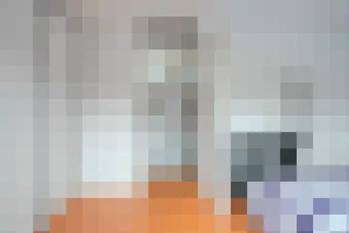 Nieuwe Rij 27 Deventer thumbnail 19
