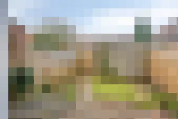 Nieuwe Rij 27 Deventer thumbnail 25