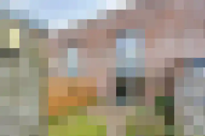 Nieuwe Rij 27 Deventer thumbnail 26
