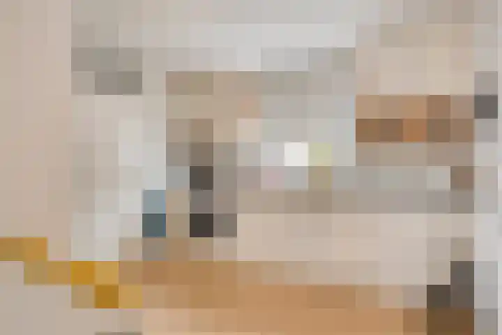 Nieuwe Rij 27 Deventer thumbnail 5