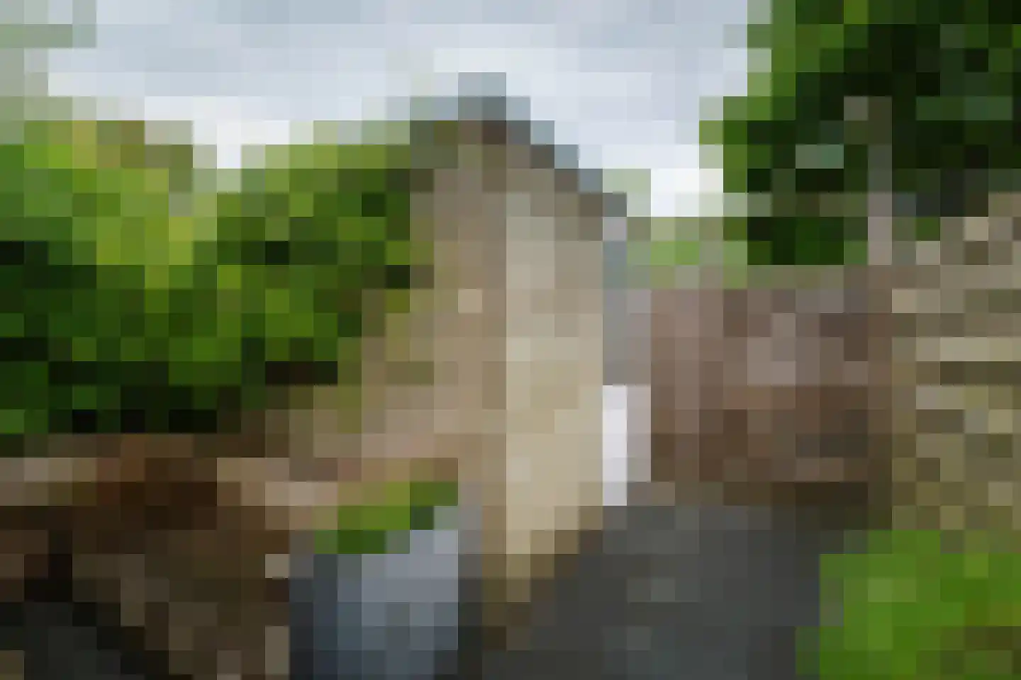 Nieuwe Rij 30 Deventer thumbnail 12