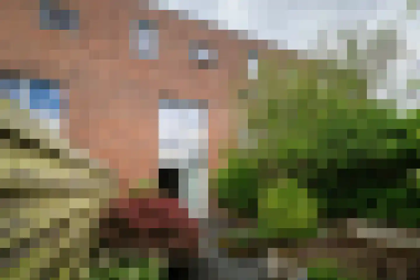 Nieuwe Rij 30 Deventer thumbnail 13