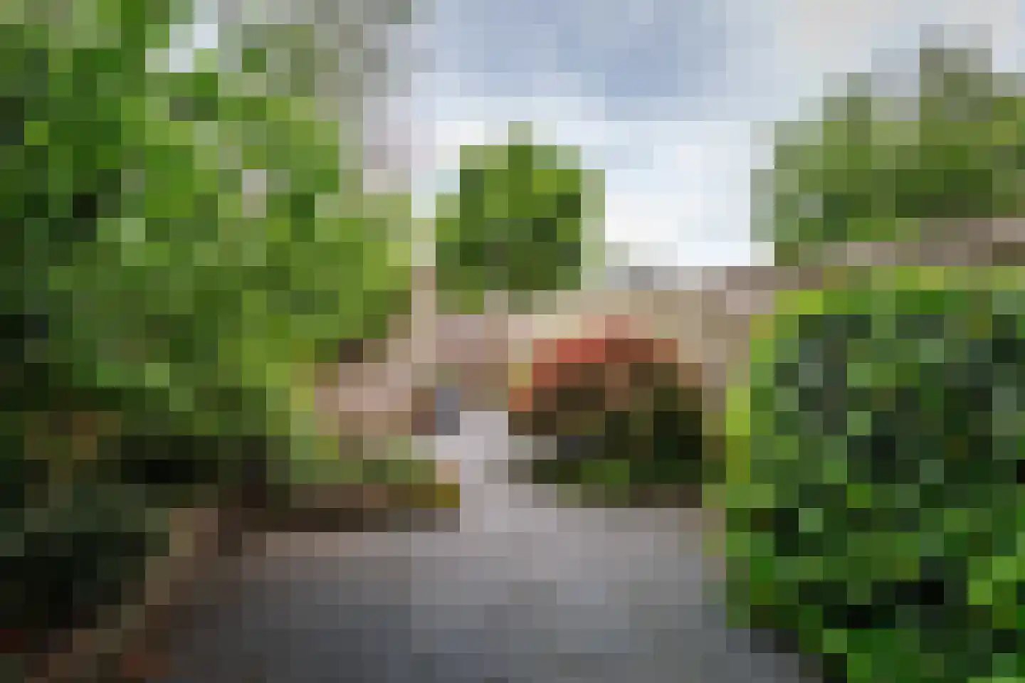 Nieuwe Rij 30 Deventer thumbnail 14