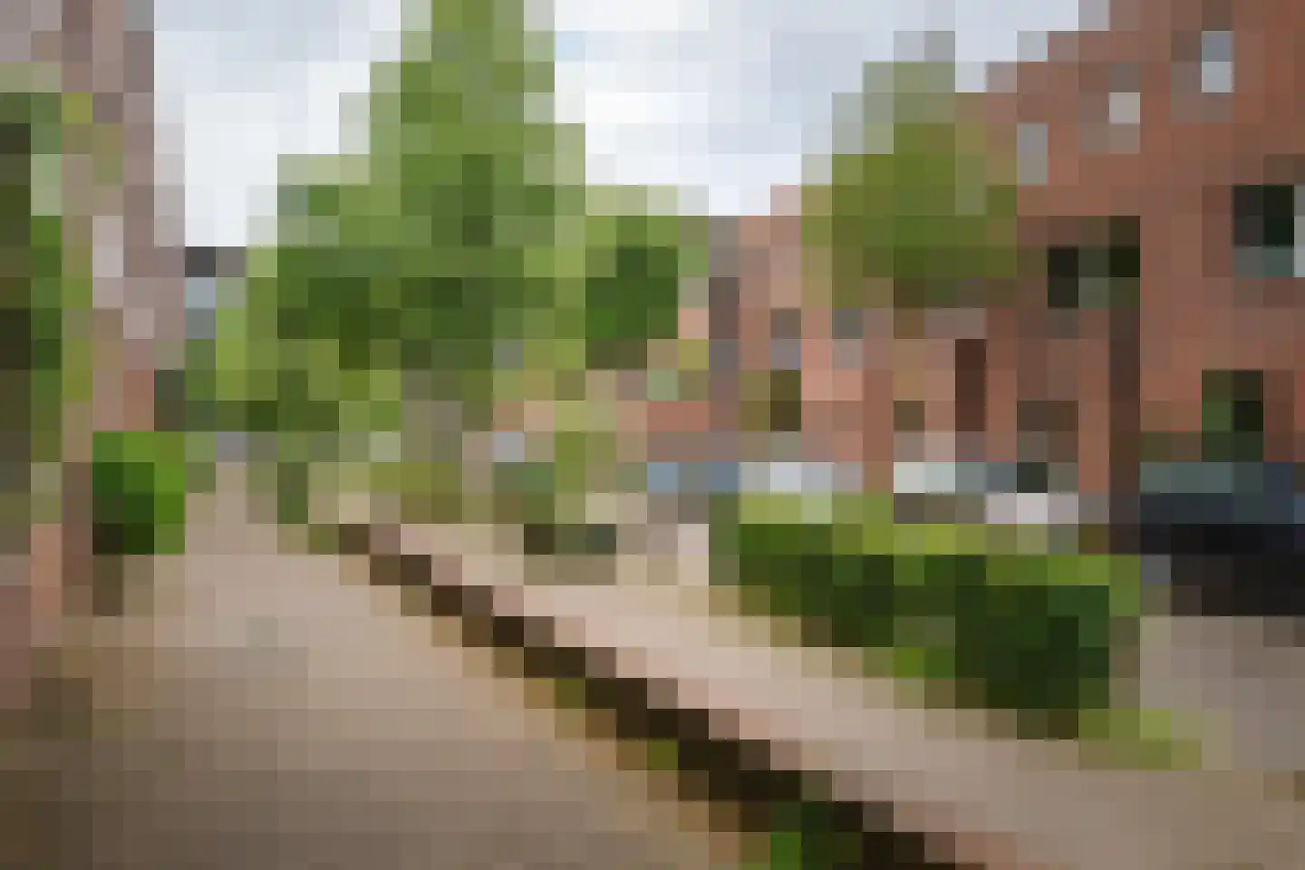 Nieuwe Rij 30 Deventer thumbnail 30