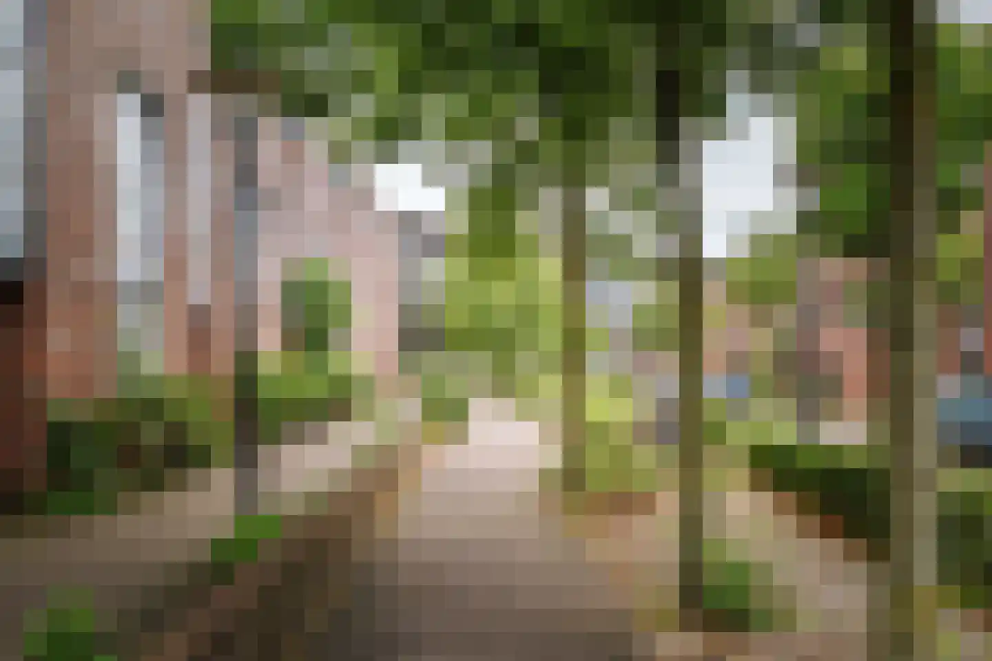 Nieuwe Rij 30 Deventer thumbnail 31