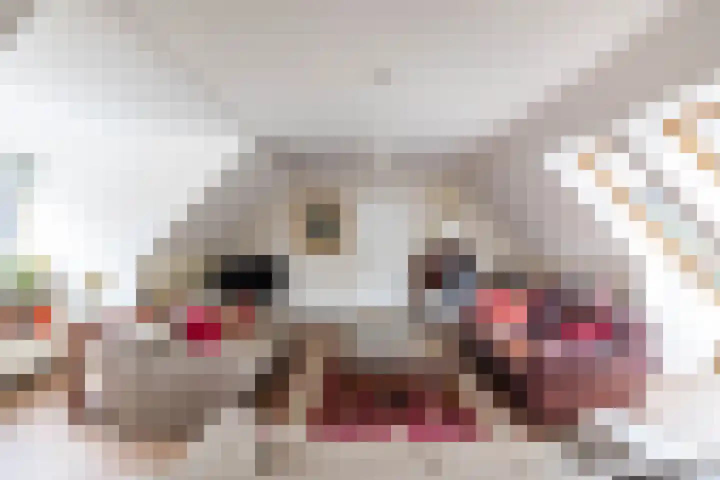 Nieuwe Rijksweg 22 Vries thumbnail 12